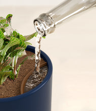 Load image into Gallery viewer, Sage Green stand:all