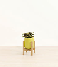 Load image into Gallery viewer, Key Lime Yellow stand:bamboo