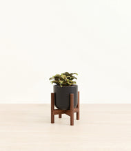 Load image into Gallery viewer, Stone Black stand:walnut
