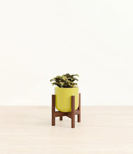 Load image into Gallery viewer, Key Lime Yellow stand:walnut