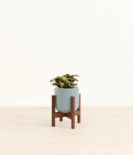 Load image into Gallery viewer, Misty Blue stand:walnut