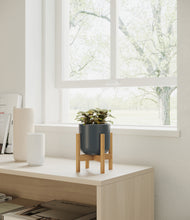 Load image into Gallery viewer, Iron Gray stand:bamboo