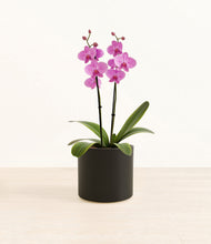 Load image into Gallery viewer, Black*****Profile