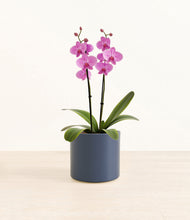 Load image into Gallery viewer, Deep Navy*****Profile