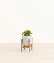 Load image into Gallery viewer, Natural Bamboo stand:bamboo