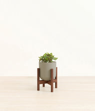 Load image into Gallery viewer, Sage Green stand:walnut
