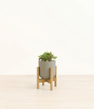 Load image into Gallery viewer, Sage Green stand:bamboo