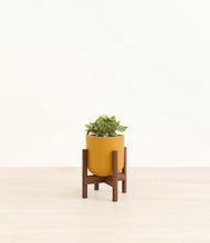 Load image into Gallery viewer, Sunset Orange stand:walnut