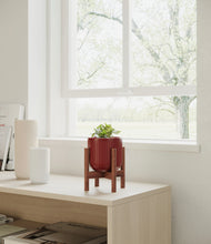 Load image into Gallery viewer, Striped Cherry Red stand:walnut