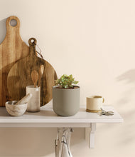 Load image into Gallery viewer, Sage Green