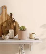 Load image into Gallery viewer, Sandy Pink