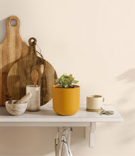 Load image into Gallery viewer, Sunset Orange