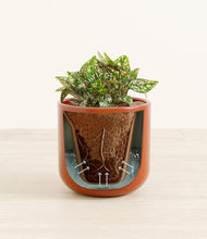 Load image into Gallery viewer, Glossy Red stand:all