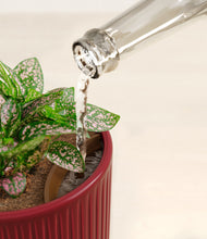 Load image into Gallery viewer, Striped Cherry Red stand:all