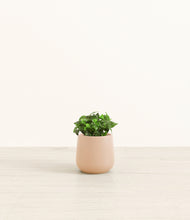 Load image into Gallery viewer, Gentle Pink*****Profile