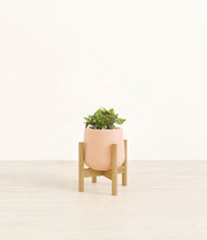 Load image into Gallery viewer, Gentle Pink stand:bamboo
