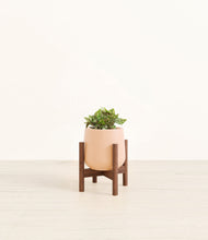 Load image into Gallery viewer, Gentle Pink stand:walnut