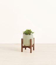 Load image into Gallery viewer, Turquoise stand:walnut