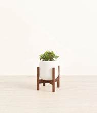 Load image into Gallery viewer, White stand:walnut