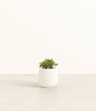 Load image into Gallery viewer, White*****Profile