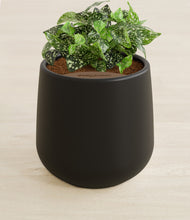 Load image into Gallery viewer, Black stand:all