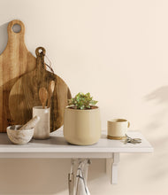 Load image into Gallery viewer, Almond Green