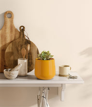 Load image into Gallery viewer, Mustard