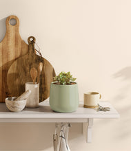 Load image into Gallery viewer, Turquoise