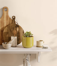 Load image into Gallery viewer, Key Lime Yellow