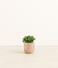 Load image into Gallery viewer, Glossy Pink*****Profile