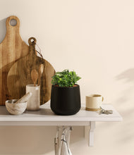 Load image into Gallery viewer, Black