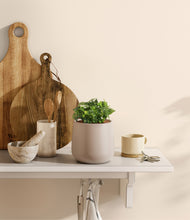 Load image into Gallery viewer, Eternal Gray