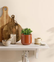 Load image into Gallery viewer, Glossy Red