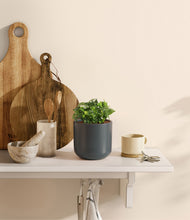 Load image into Gallery viewer, Iron Gray