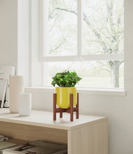 Load image into Gallery viewer, Key Lime Yellow stand:walnut