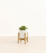 Load image into Gallery viewer, Cotton White stand:bamboo