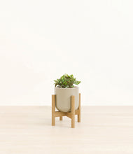 Load image into Gallery viewer, Sage Green stand:bamboo