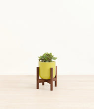 Load image into Gallery viewer, Key Lime Yellow stand:walnut