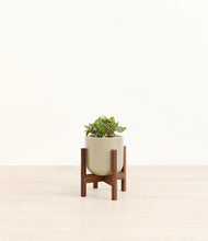 Load image into Gallery viewer, Sage Green stand:walnut