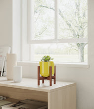 Load image into Gallery viewer, Key Lime Yellow stand:walnut