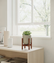 Load image into Gallery viewer, Sage Green stand:walnut