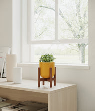 Load image into Gallery viewer, Sunset Orange stand:walnut