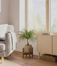 Load image into Gallery viewer, Olive stand:walnut