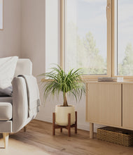 Load image into Gallery viewer, Almond Green stand:walnut