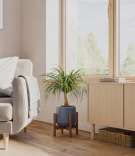 Load image into Gallery viewer, Deep Navy stand:walnut