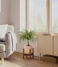 Load image into Gallery viewer, Gentle Pink stand:walnut