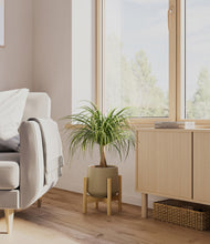 Load image into Gallery viewer, Olive stand:bamboo