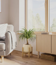 Load image into Gallery viewer, Almond Green stand:bamboo