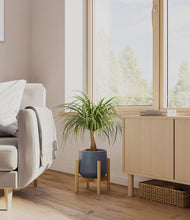Load image into Gallery viewer, Deep Navy stand:bamboo