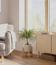 Load image into Gallery viewer, Eternal Gray stand:bamboo